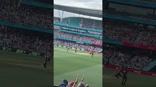 Steve Smith Gets A Century vs Scorchers [upl. by River651]