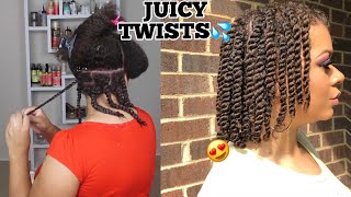 How To Twists Natural Hair Properly As A Protective Style  No Added Hair Needed [upl. by Allimac199]