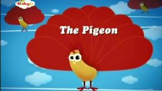 BabyTV The Pigeon english [upl. by Arvell]