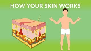 How to Use RSDL  Unboxing and Demonstration of Reactive Skin Decontamination Lotion [upl. by Parthinia]