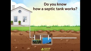 How A Septic Tank Works Septic Tank Treatment  Organica Biotech [upl. by Enajyram]