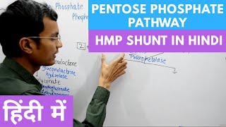 Pentose Phosphate Pathway  Hexose Monophosphate Shunt in Hindi [upl. by Zeuqcaj]