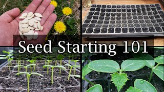 How To Start Vegetable Seeds  The Definitive Guide For Beginners [upl. by Anauqes]