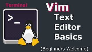 Vim Text Editor Basics  How to Use Vim on Linux  Mac  Unix Beginners Guide on Ubuntu 2004 [upl. by Anemij]