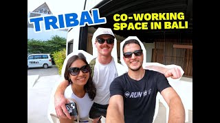 Discover TRIBAL The Ultimate Coworking Haven in Bali [upl. by Sregor]