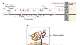 Assembly Lecture 11 [upl. by Tate]