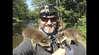 Incredible baby raccoon encounter [upl. by Ramedlab]