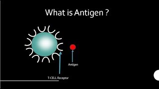 Antigens [upl. by Sana]