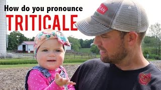 How do you pronounce triticale [upl. by Raskin896]