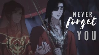 Never forget  Hualian  Hua Cheng x Xie Lian AMV Heaven Officials BlessingTian Guan Ci Fu [upl. by Evelc858]