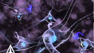 How Neurotransmission amp brain signals work  3D animation [upl. by Sera]