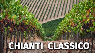 Great Italian Wines CHIANTI CLASSICO [upl. by Sianna]