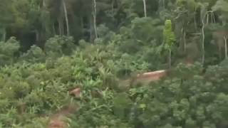 North Sentinel Island drone view India [upl. by Haela]