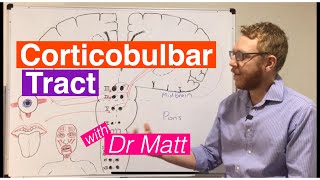 Corticobulbar Tract [upl. by Secrest]