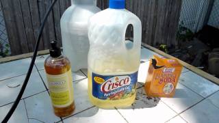 How to DIY Organic InsecticideFungicide recipe [upl. by Yema]