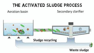 Activated sludge process and IFAS  Design rules  guideline [upl. by Hyland]