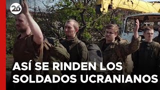 GUERRA RUSIA  UCRANIA  Así se rinden soldados ucranianos [upl. by Ojytteb851]