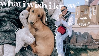 things i wish i knew before getting a puppy first week with a miniature dachshund vlog [upl. by Jump856]