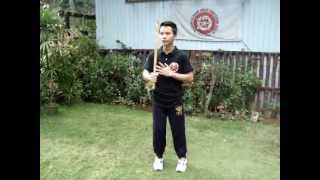 Balintawak Eskrima 12 Basic Strikes [upl. by Nesilla]