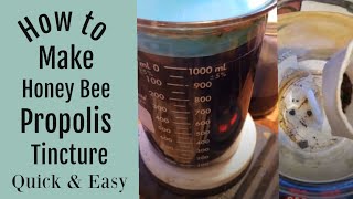 How to Make a Bee Propolis Tincture Quick and Easy [upl. by Htebazileharas]