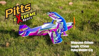 Micro 450mm RC Foamy Biplane DW Pitts [upl. by Imled657]