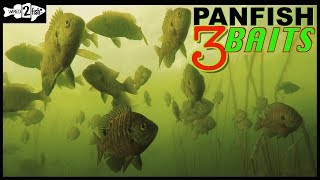 3 GoTo Baits for Ice Fishing Panfish [upl. by Enela]