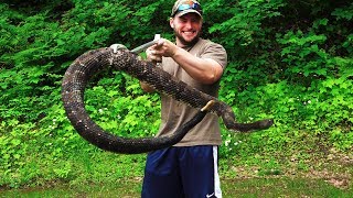 PITTSBURGH GOES RATTLESNAKE HUNTING  North Hill Boys 2018 Pennsylvania [upl. by Austina]