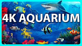 The Best 4K Aquarium for Relaxation 🐠 Relaxing Oceanscapes  Sleep Meditation 4K UHD Screensaver [upl. by Ahpla421]