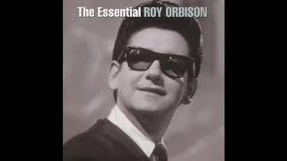 Roy Orbison  I Drove All Night [upl. by Templia]