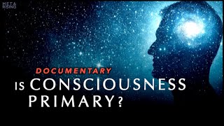 Is Consciousness Primary to Reality Documentary [upl. by Sudaorb432]