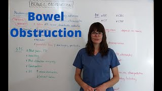 Bowel Obstruction [upl. by Esilahs]