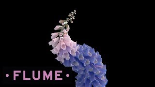 Flume  Numb amp Getting Colder feat Kučka [upl. by Rozella]