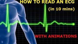 HOW TO READ AN ECG WITH ANIMATIONSin 10 mins [upl. by Ridan]