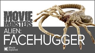 Alien FACEHUGGERS Explained [upl. by Rudich]