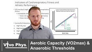 VO2 and Oxygen Consumption Explained for Beginners  Corporis [upl. by Yhtomit168]