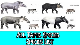 All Tapir Species  Species List [upl. by Kreegar]