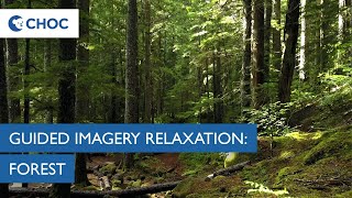 Guided Imagery Meditation Forest  CHOC [upl. by Bevan455]