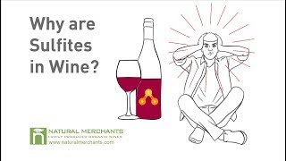 Why are Sulfites in Wine [upl. by Aluin356]