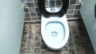 Bathroom Tour BLUE American Standard Toilet Le Chateau Village Frontenac missouri [upl. by Tabina]