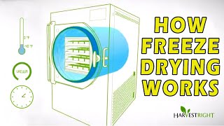 How Freeze Drying Works [upl. by Elissa]