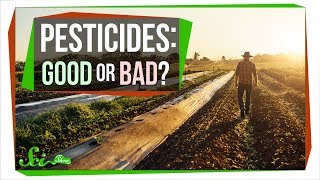 How Safe Are Pesticides Really [upl. by Michaeline]