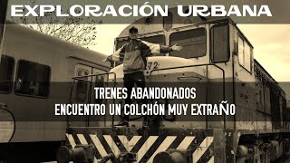 Trenes abandonados en Argentina Exploración urbana en la Línea Mitre [upl. by Sternberg]