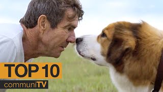 TOP 5 Dog Movies  Trailer [upl. by Procter]