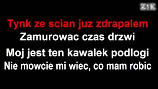 ♫♪♫♪ Mr Zoob  Mój jest ten kawałek podłogi  Zajebiste karaoke [upl. by Mayap]