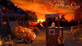 🍂🍎AUTUMN FARM AMBIENCE Sounds for Relaxation Nature Sounds Apple Cider Pouring Leaves [upl. by Noisla]