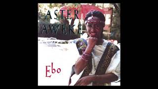 Aster Aweke  Ebo Full Album [upl. by Ennahgiel]