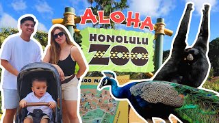 ALOHA HAWAII HONOLULU ZOO  Love Angeline Quinto [upl. by Tserrof752]