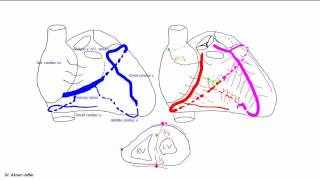 Veins of the body  PART 1  Anatomy Tutorial [upl. by Koblas791]