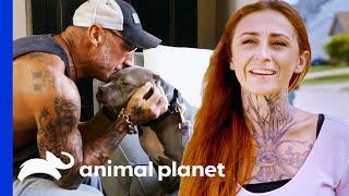 Extremely Shy Dog Finally Gets Adopted  Pit Bulls amp Parolees [upl. by Neitsabes]