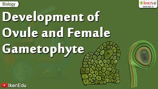 Biology Of Plants  Learn About Ovule and Gametophyte  iKen  iKen Edu  iKen App [upl. by Ashlin]